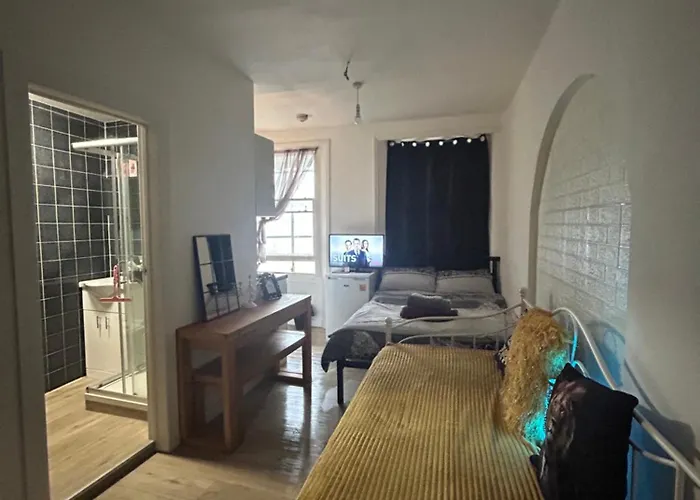 Spacious Studio Flat In London